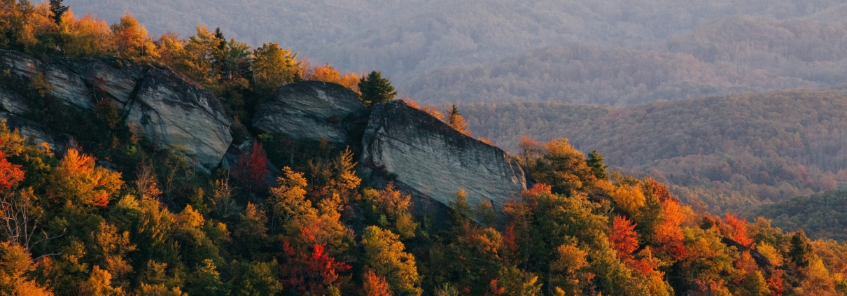 North Carolina sales tax guide