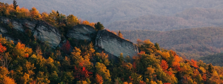 North Carolina sales tax guide